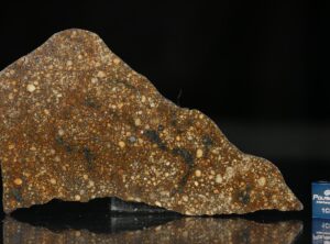 NWA 10295 (32.15 gram)