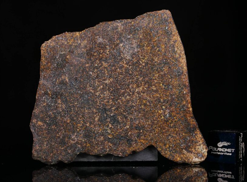 NWA 13696 [Winonaite] – PolandMET Meteorites