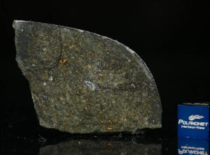 NWA 8221 (8.84 gram)