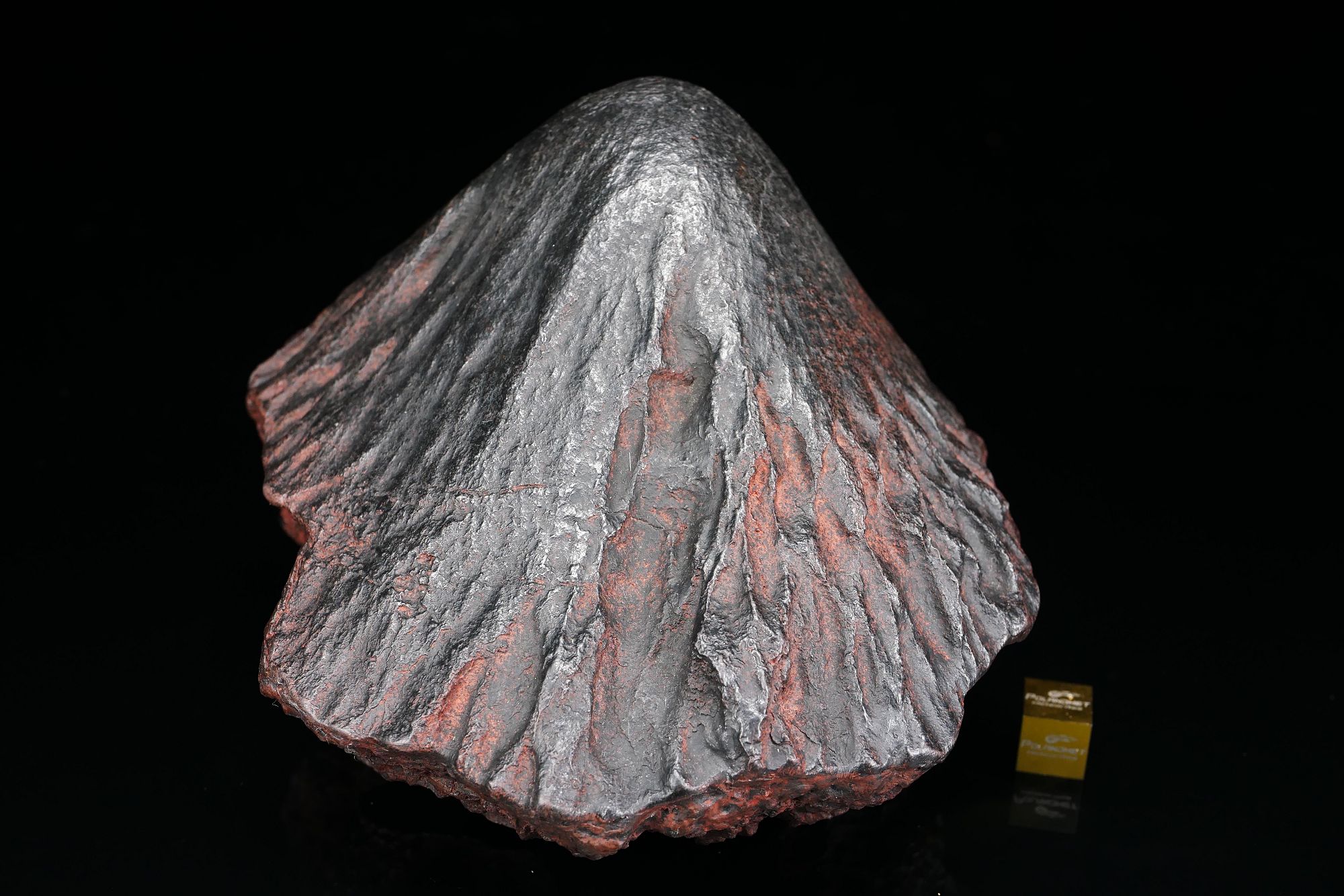 Venus meteorite on sale