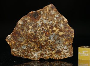 NWA 11386 (13.84 gram)