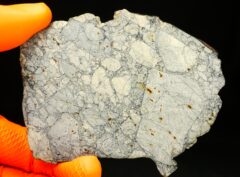 NWA 16972 “Mooncrite” (51.74 gram)