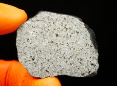 HAMMADAH AL HAMRA 346 (15.47 gram)