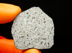 HAMMADAH AL HAMRA 346 (12.89 gram)