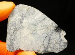 NWA 16972 “Mooncrite” (15.54 gram)