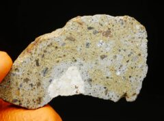 NWA 17181 (11.66 gram) endpiece crust