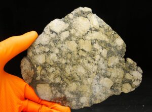 NWA 17041 (128.72 gram)