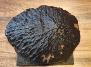 BASZKÓWKA meteorite CAST real weight