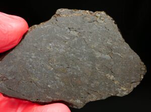 NWA 12805 (20.80 gram)