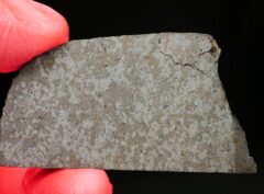 NWA 11639 (43.37 gram) endpiece