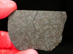 NWA 11639 (26.09 gram)