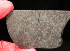 NWA 11639 (28.09 gram)