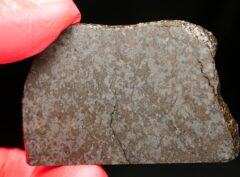 NWA 11639 (21.45 gram)