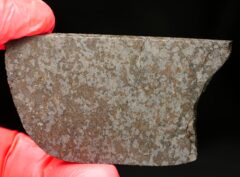 NWA 11639 (27.70 gram)