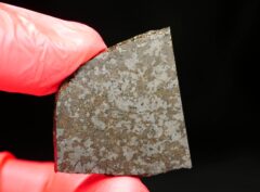 NWA 11639 (11.21 gram)