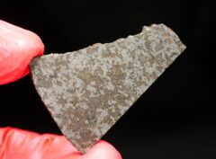 NWA 11639 (8.08 gram)