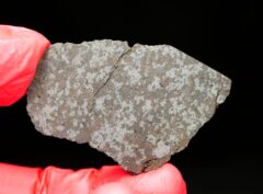NWA 11639 (18.25 gram) endpiece