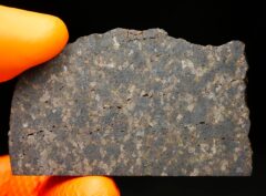 NWA 11640 (52.02 gram) endpiece