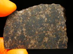 NWA 11640 (23.49 gram)