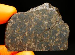 NWA 11640 (21.84 gram)