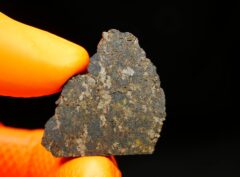 NWA 11640 (10.00 gram) endpiece
